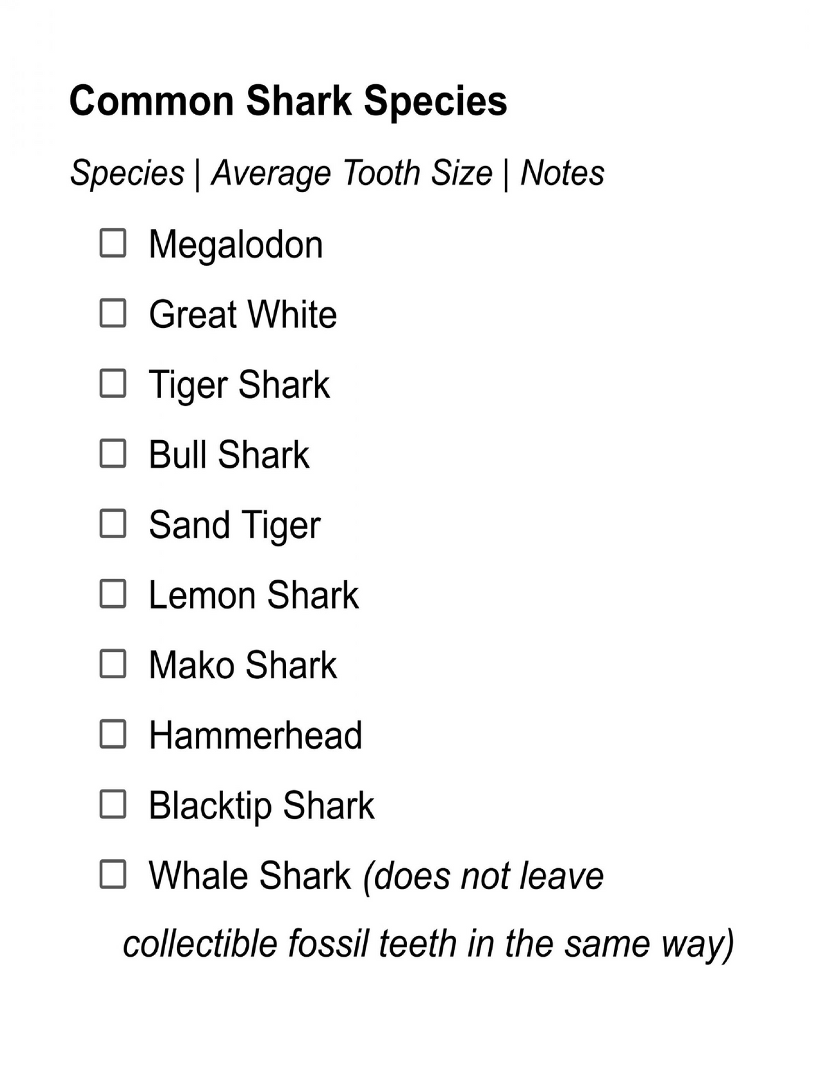 Shark Teeth Collection Book – Puzzle Activity Book for Kids & Adults