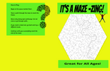 It's Amaz-Zing! A Maze Book