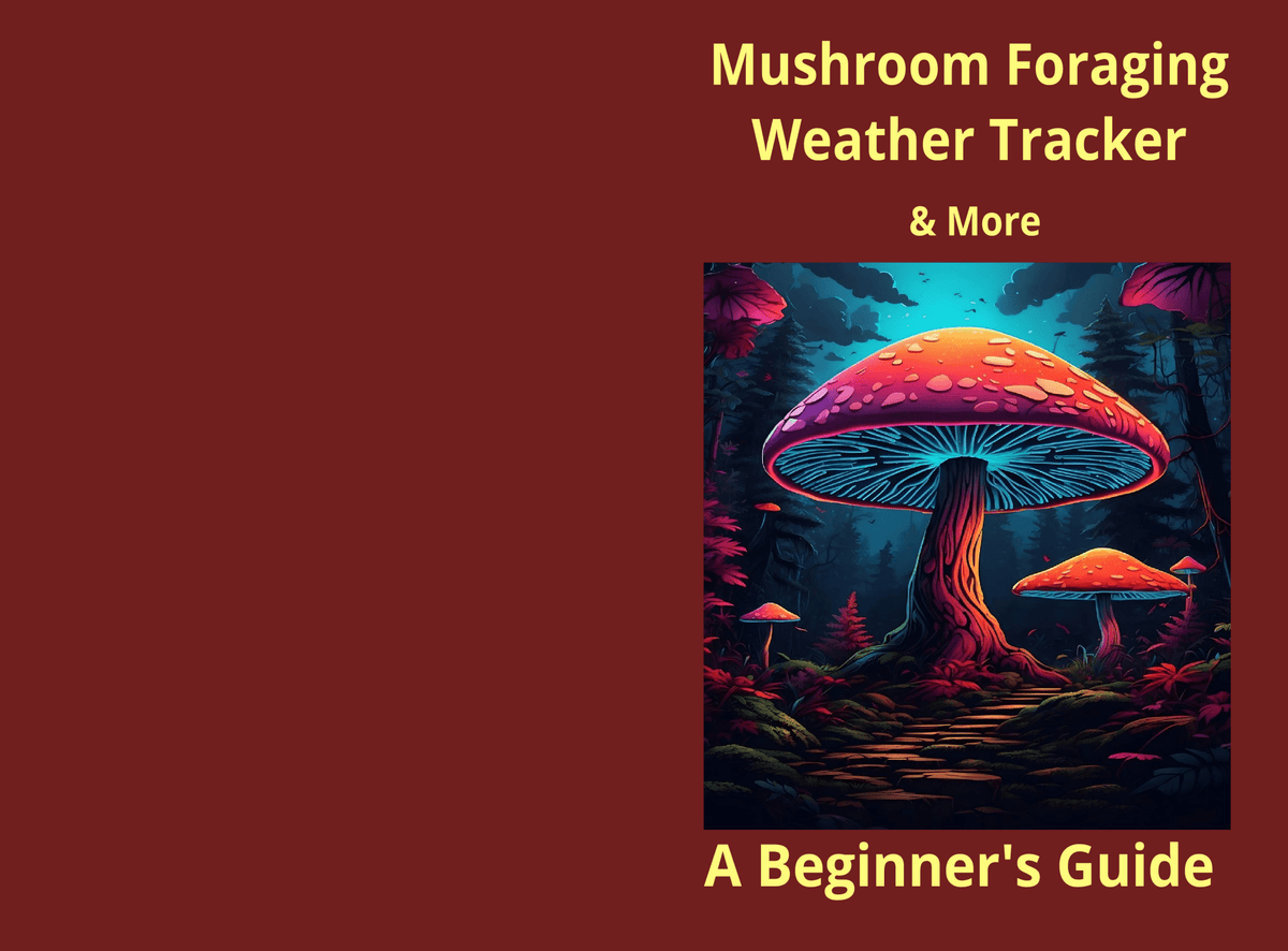 Mushroom Foraging & Weather Tracker Journal – Printable PDF - LL Puzzle Books