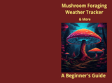 Mushroom Foraging & Weather Tracker Journal – Printable PDF - LL Puzzle Books