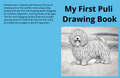 My First Puli Drawing Book