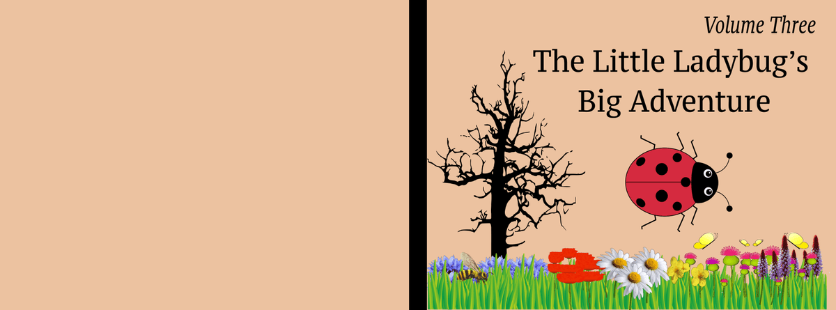 The Little Ladybug's Big Adventure: Vol 3 - LL Puzzle Books