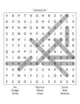 GAGA Ball, Hockey, Soccer Word Search Book