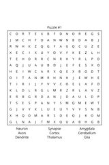Cross Discipline: Brain Science & Genetics Word Search - LL Puzzle Books
