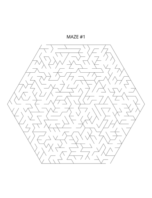 It's Amaz-Zing! A Maze Book