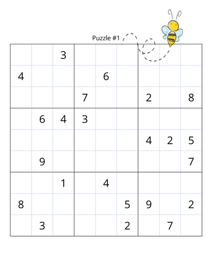 Just an Ordinary Sudoku