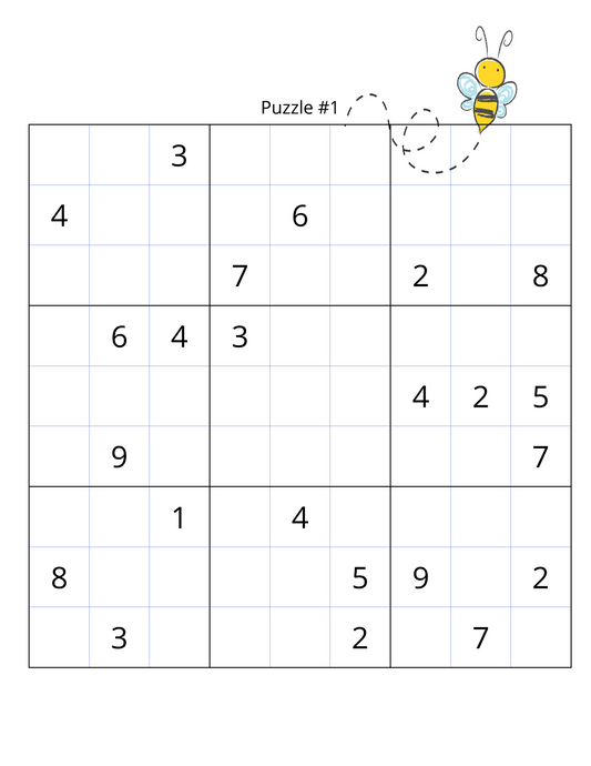 Just an Ordinary Sudoku