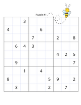 Just an Ordinary Sudoku