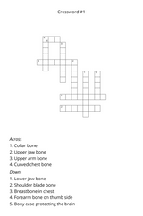 Bones Crossword Puzzle Book – Adult & Pediatric Anatomy Edition - LL Puzzle Books