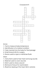 Physician's Assistant vs Doctor Crossword – Instant Digital Download - LL Puzzle Books