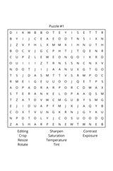 Through the Lens of a Camera: Word Search – Printable PDF - LL Puzzle Books