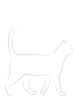 Cat Sketch Book for All Ages – Guided Drawing for Beginners | Instant Download