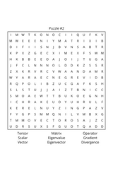 Word Search Adv. Physics & Particle Theory for Geniuses Vol. 4 - LL Puzzle Books