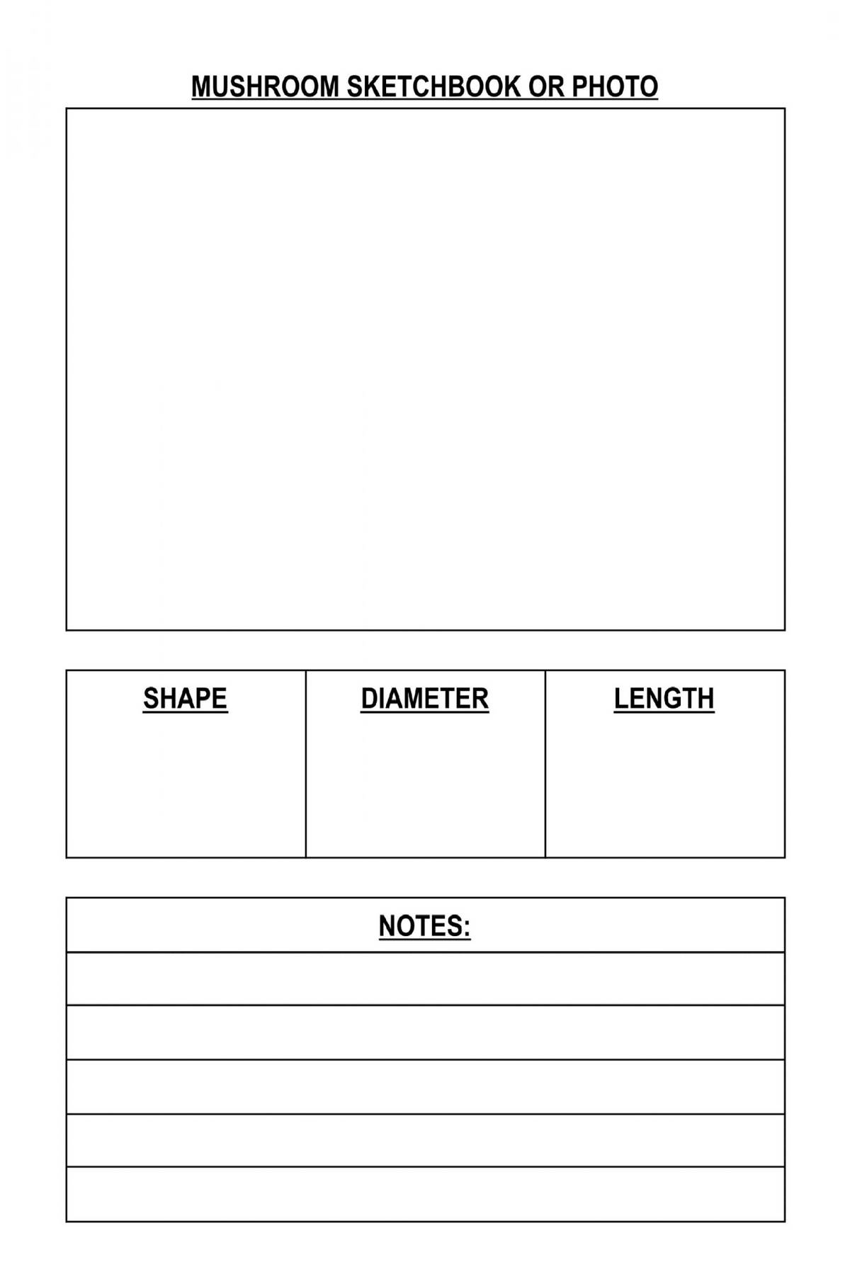 Mushroom Foraging & Weather Tracker Journal – Printable PDF - LL Puzzle Books
