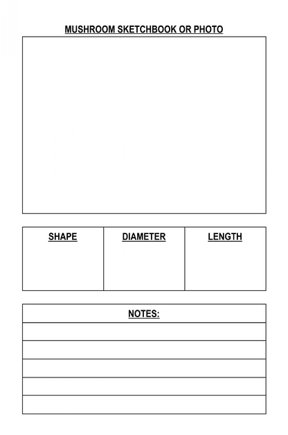 Mushroom Foraging & Weather Tracker Journal – Printable PDF - LL Puzzle Books