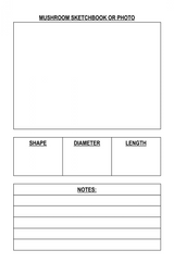 Mushroom Foraging & Weather Tracker Journal – Printable PDF - LL Puzzle Books