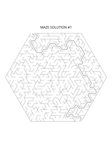 It's Amaz-Zing! A Maze Book