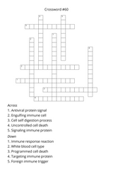 Molecular Biology & Biotechnology Crossword Puzzle – Printable Instant Download - LL Puzzle Books