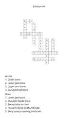 Bones Crossword Puzzle Book – Adult & Pediatric Anatomy Edition - LL Puzzle Books