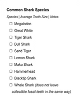 Shark Teeth Collection Book – Puzzle Activity Book for Kids & Adults